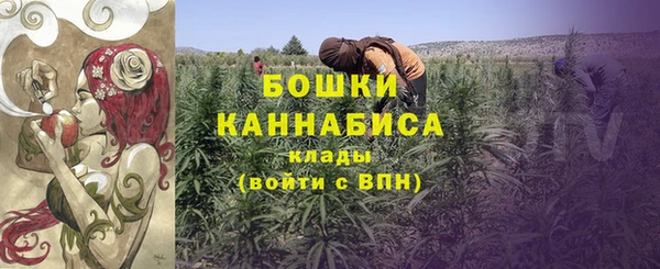 бошки Семилуки