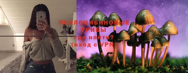 мескалин Балахна