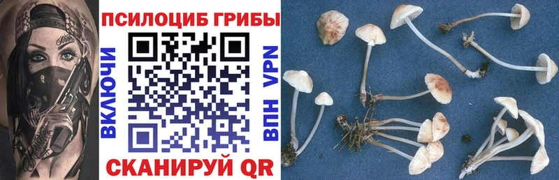 Псилоцибиновые грибы MAGIC MUSHROOMS Козельск