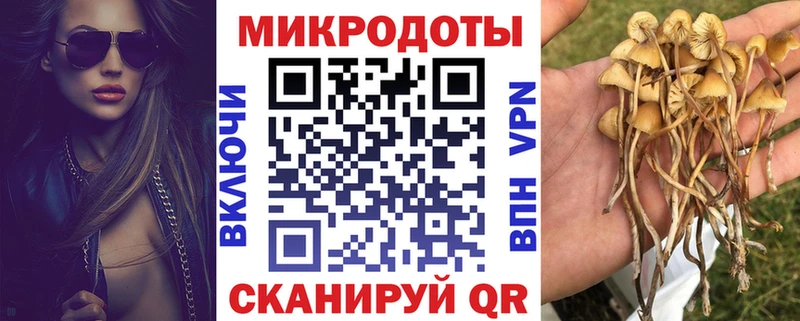 Галлюциногенные грибы мицелий  Козельск 